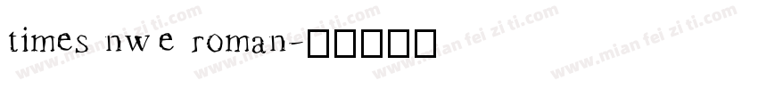 times nwe roman字体转换